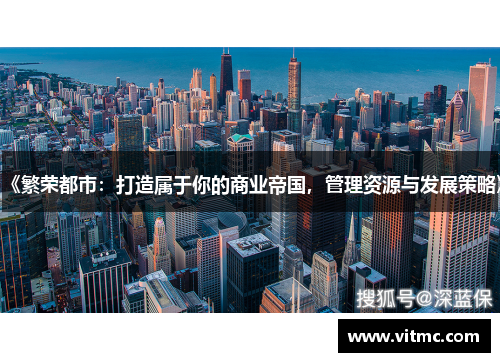 《繁荣都市:打造属于你的商业帝国,管理资源与发展策略》