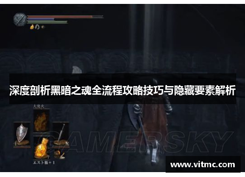 深度剖析黑暗之魂全流程攻略技巧与隐藏要素解析
