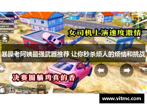 暴躁老阿姨最强武器推荐 让你秒杀烦人的烦恼和挑战