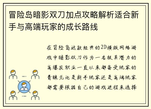 冒险岛暗影双刀加点攻略解析适合新手与高端玩家的成长路线